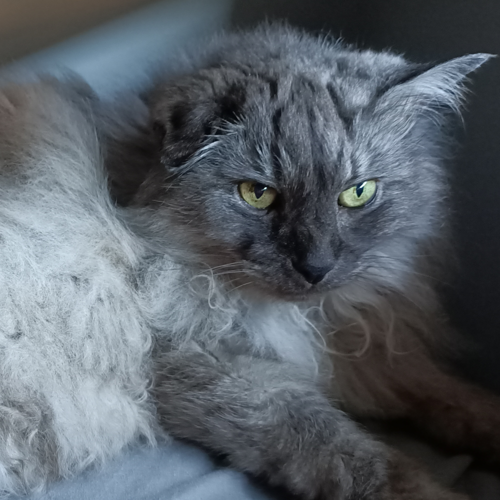 Belle sitting on a bed under a sunbeam